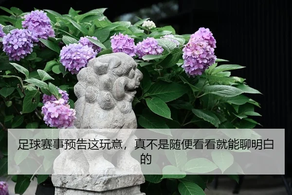 足球赛事预告这玩意，真不是随便看看就能聊明白的