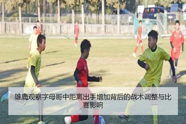 雄鹿观察字母哥中距离出手增加背后的战术调整与比赛影响